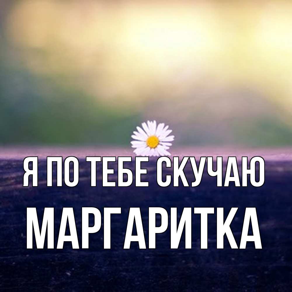 Открытка на каждый день с именем, Маргаритка Я по тебе скучаю приходи в гости Прикольная открытка с пожеланием онлайн скачать бесплатно 