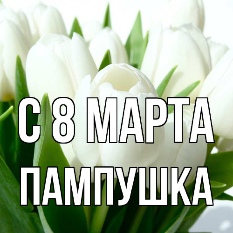 Картинка C 8 МАРТА, Пампушка