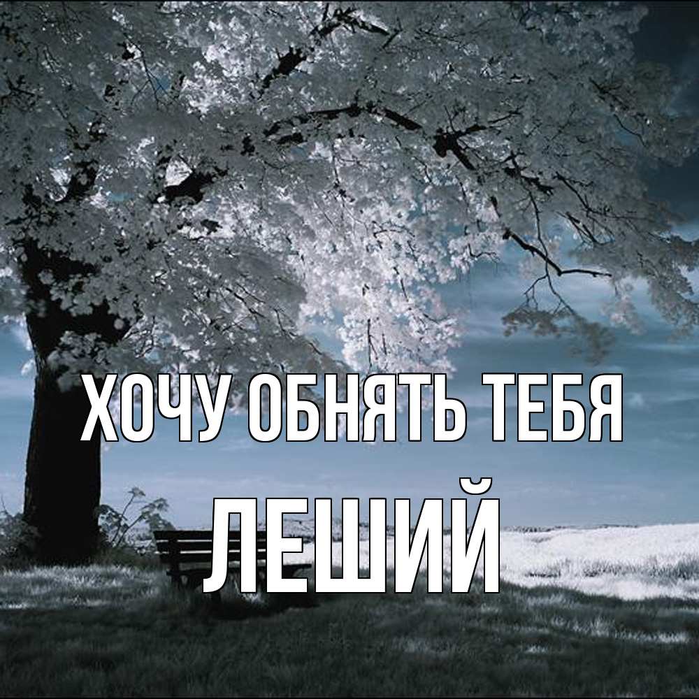 Открытка на каждый день с именем, Леший Хочу обнять тебя дерево Прикольная открытка с пожеланием онлайн скачать бесплатно 