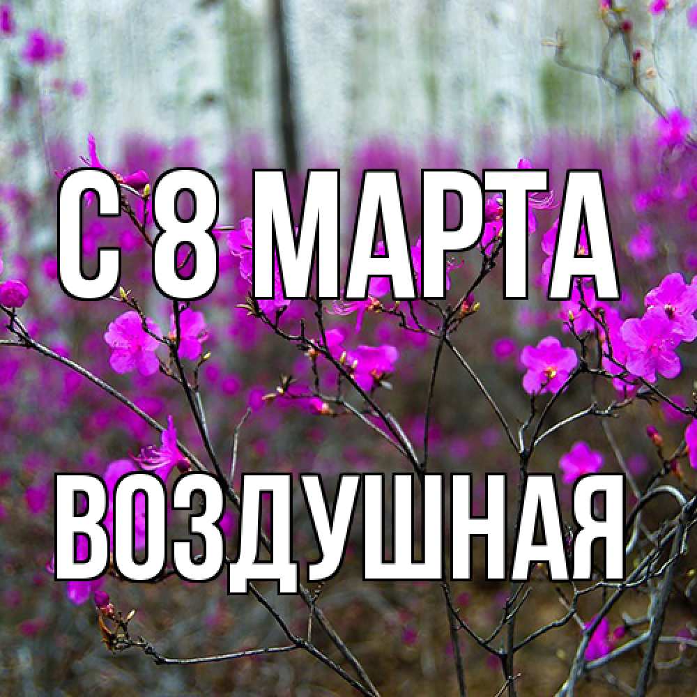 Открытка на каждый день с именем, воздушная C 8 МАРТА дикие цветы Прикольная открытка с пожеланием онлайн скачать бесплатно 