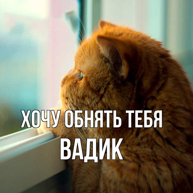 Картинка Хочу обнять тебя, Вадик