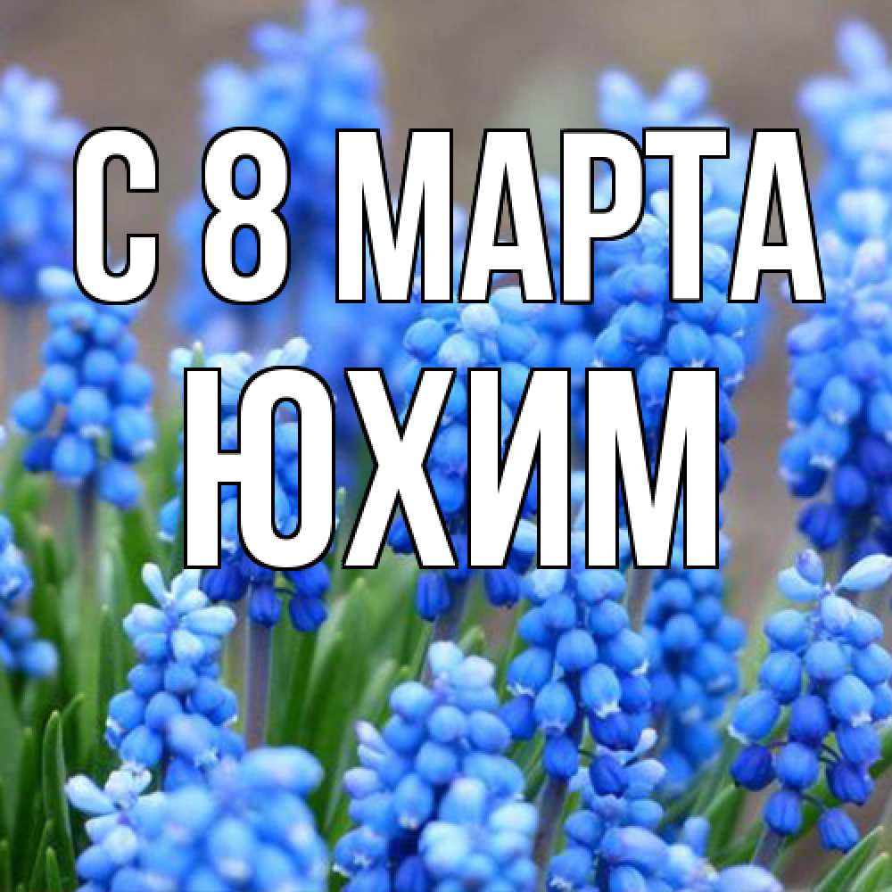 Открытка на каждый день с именем, Юхим C 8 МАРТА Поздравительная открытка для женщин с цветами на праздничную дату Прикольная открытка с пожеланием онлайн скачать бесплатно 