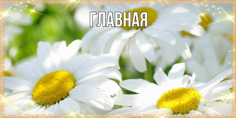 Картинка  с именем , настя