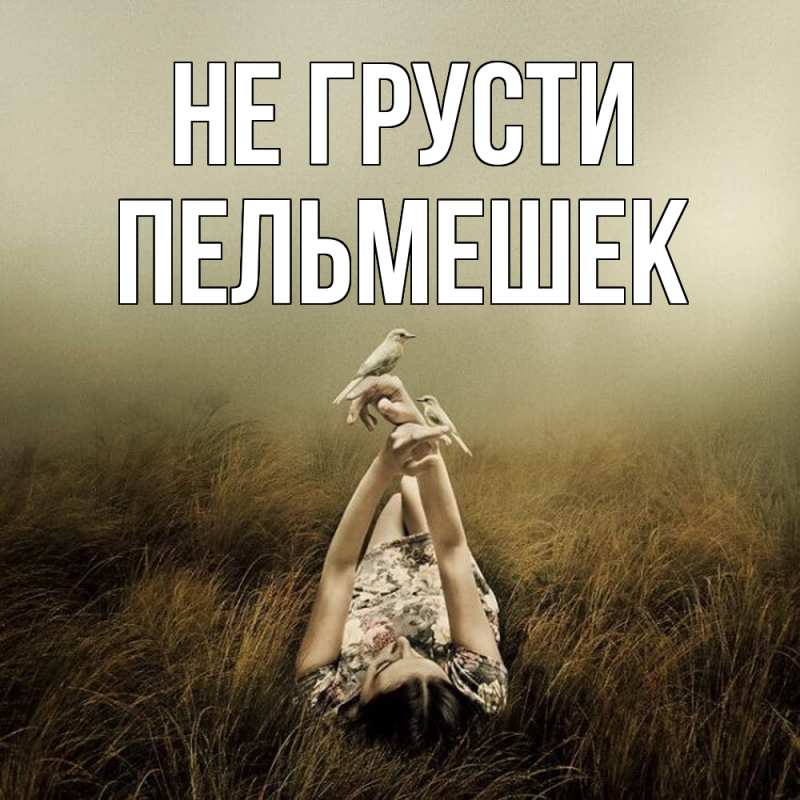 Картинка Не грусти, пельмешек