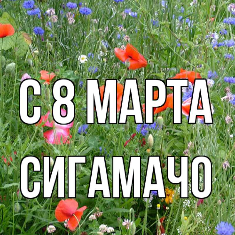 Картинка C 8 МАРТА, Сигамачо