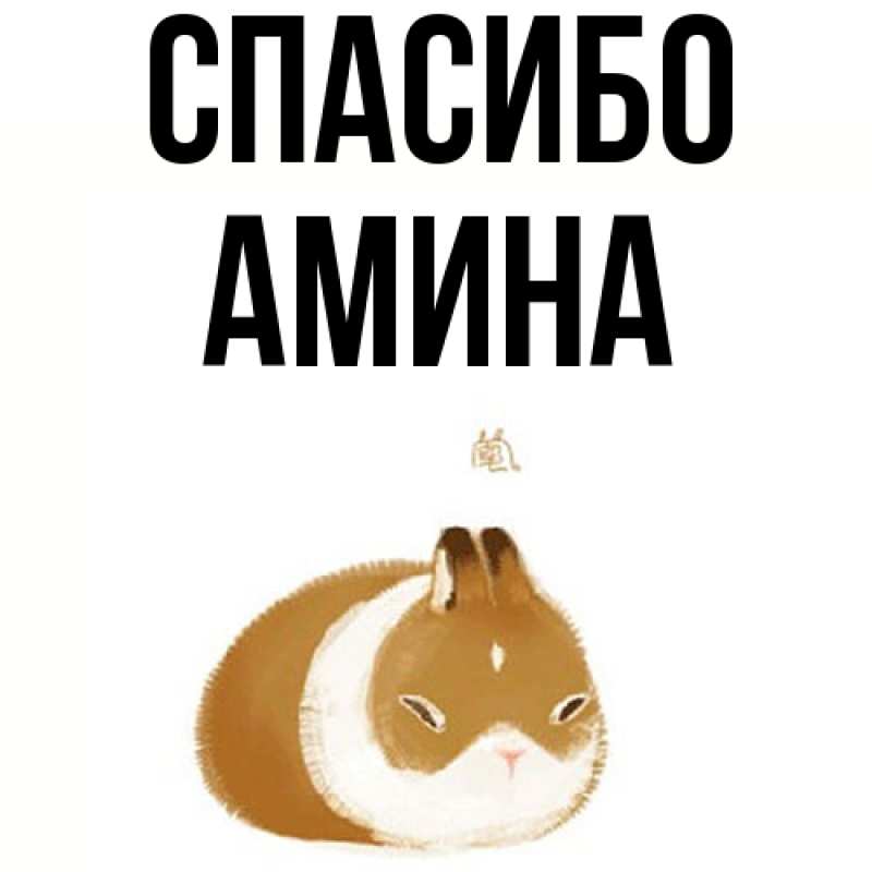 Картинка Спасибо, Амина
