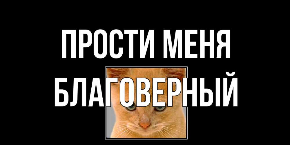 Открытка на каждый день с именем, Благоверный Прости меня рыжий грустный кот просит прощения Прикольная открытка с пожеланием онлайн скачать бесплатно 