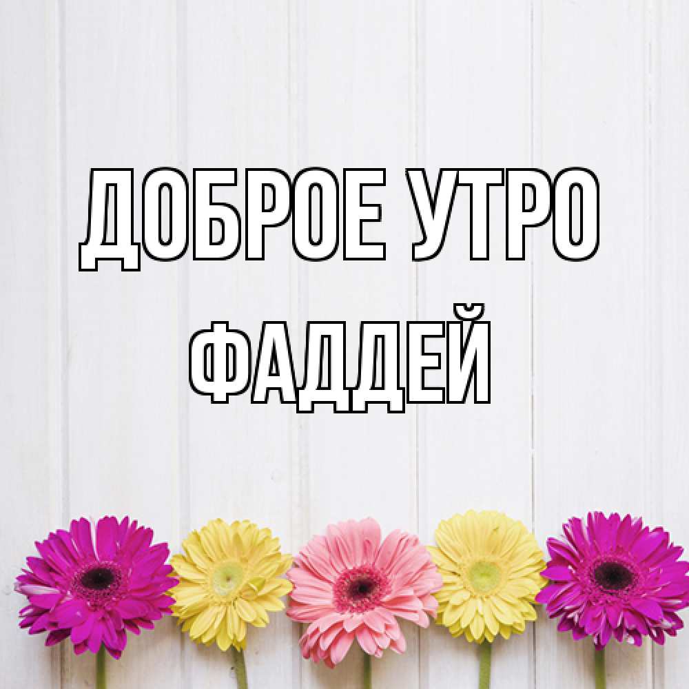 Открытка на каждый день с именем, Фаддей Доброе утро красный желтый и розовый цветок Прикольная открытка с пожеланием онлайн скачать бесплатно 