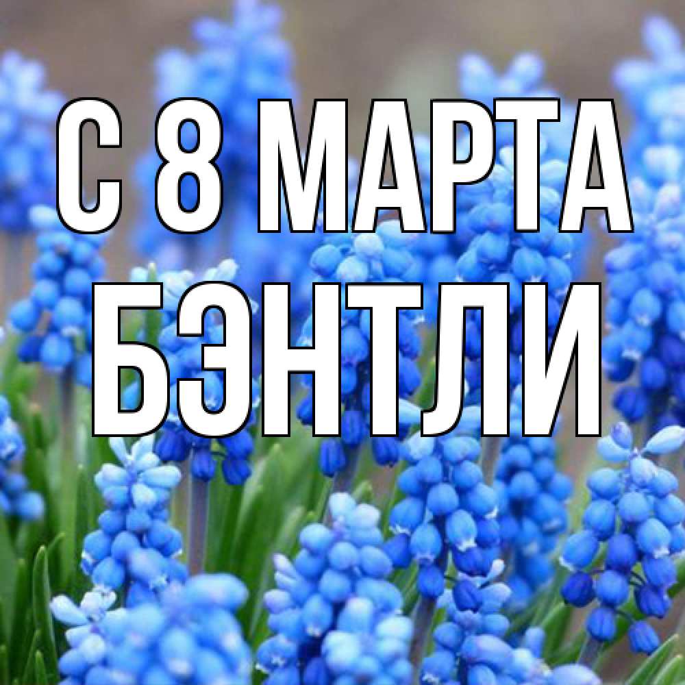 Открытка на каждый день с именем, Бэнтли C 8 МАРТА Поздравительная открытка для женщин с цветами на праздничную дату Прикольная открытка с пожеланием онлайн скачать бесплатно 