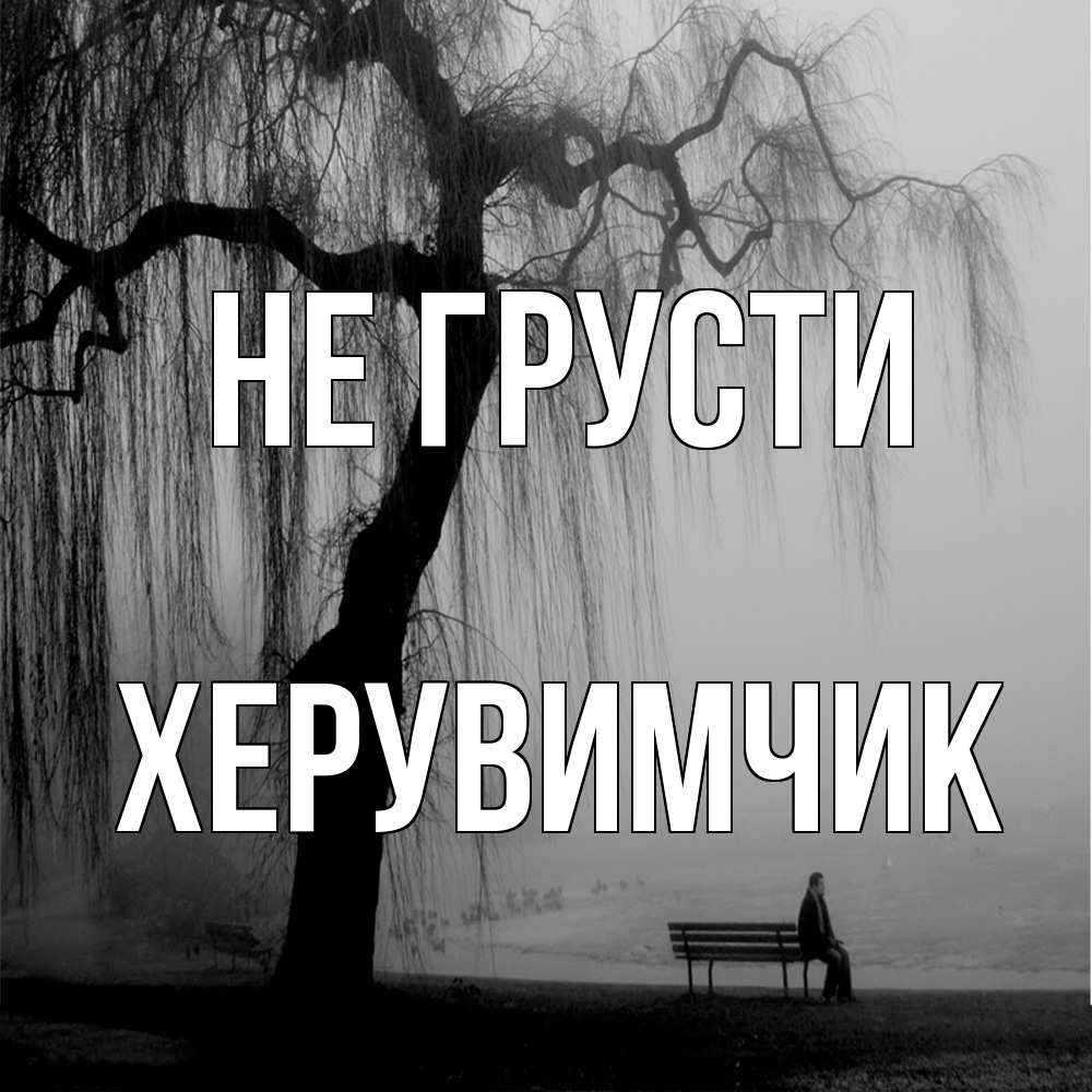 Открытка на каждый день с именем, Хеpувимчик Не грусти висящие ветки дерева и лавочка под деревом Прикольная открытка с пожеланием онлайн скачать бесплатно 