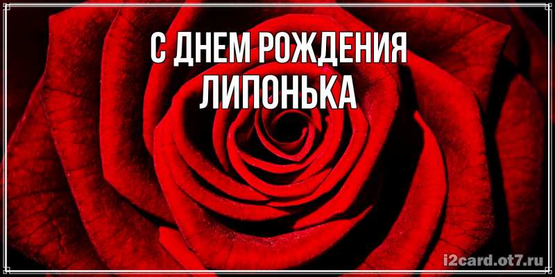 Картинка С днем рождения, Липонька