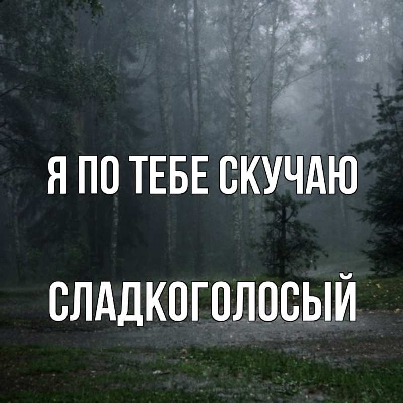 Картинка Я по тебе скучаю, Сладкоголосый