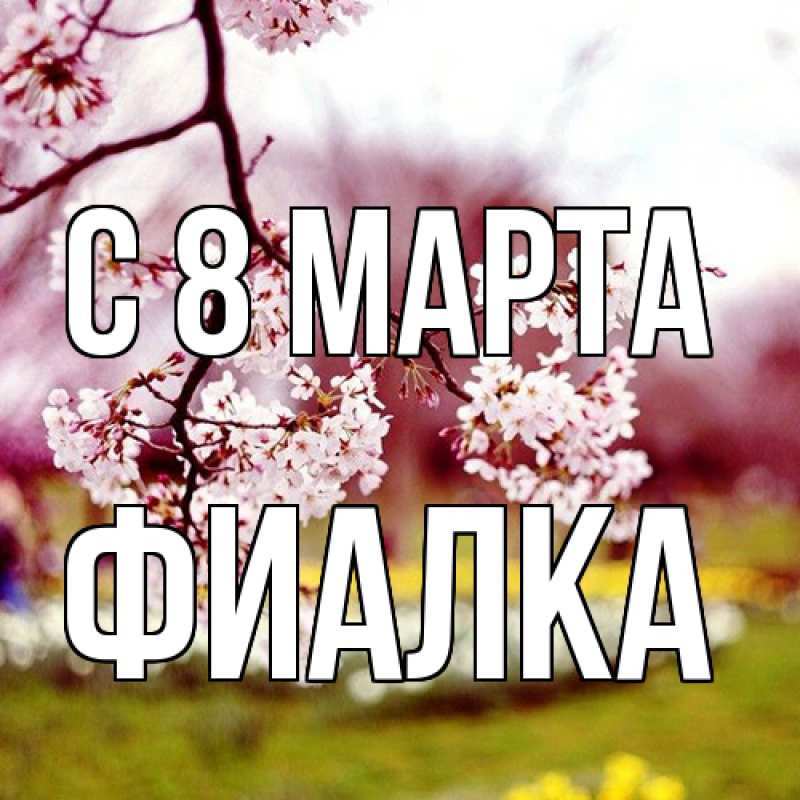Картинка C 8 МАРТА, Фиалка
