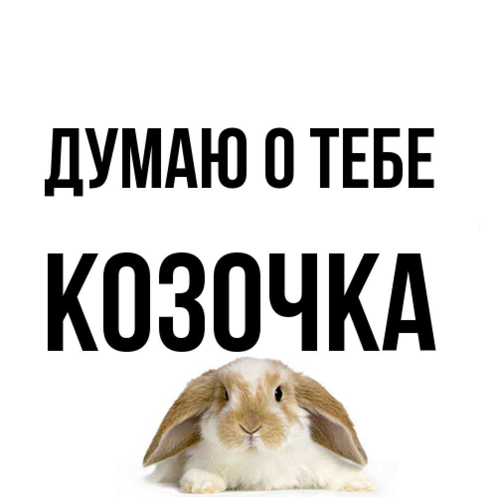 Открытка на каждый день с именем, Козочка Думаю о тебе подписать своими руками онлайн Прикольная открытка с пожеланием онлайн скачать бесплатно 