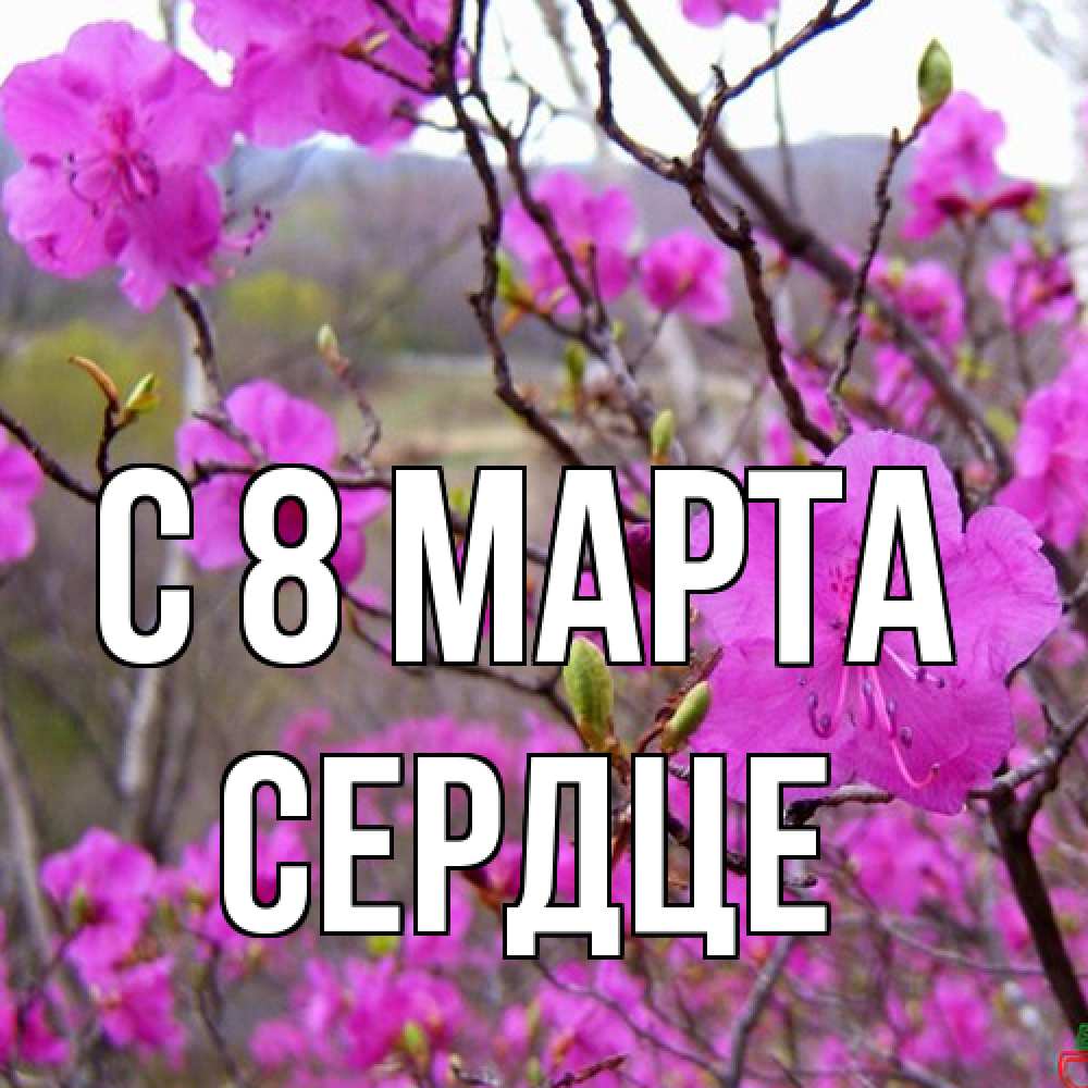 Открытка на каждый день с именем, сердце C 8 МАРТА международный женский день Прикольная открытка с пожеланием онлайн скачать бесплатно 