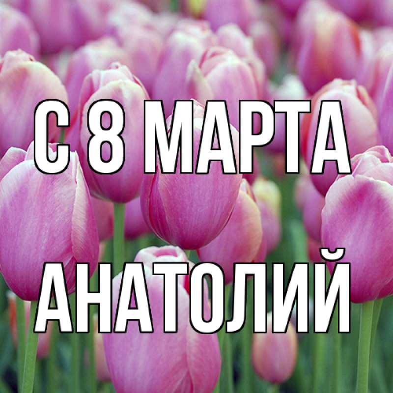 Картинка C 8 МАРТА, Анатолий