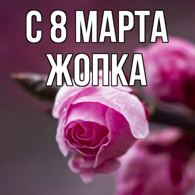 Картинка C 8 МАРТА, Жопка