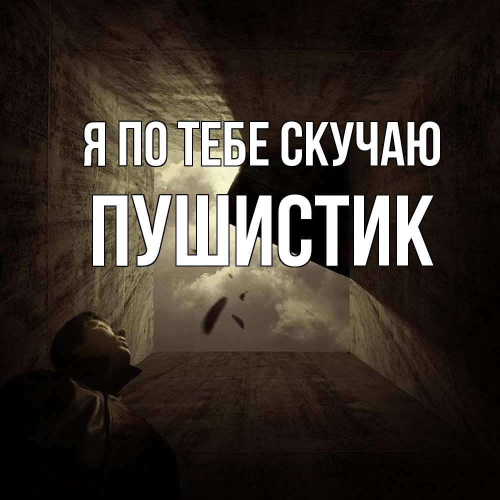 Открытка на каждый день с именем, Пушистик Я по тебе скучаю тут Прикольная открытка с пожеланием онлайн скачать бесплатно 