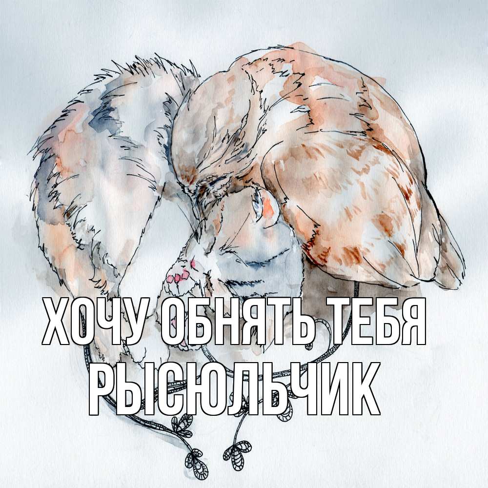 Открытка на каждый день с именем, Рысюльчик Хочу обнять тебя можно быть вместе даже когда очень разные Прикольная открытка с пожеланием онлайн скачать бесплатно 