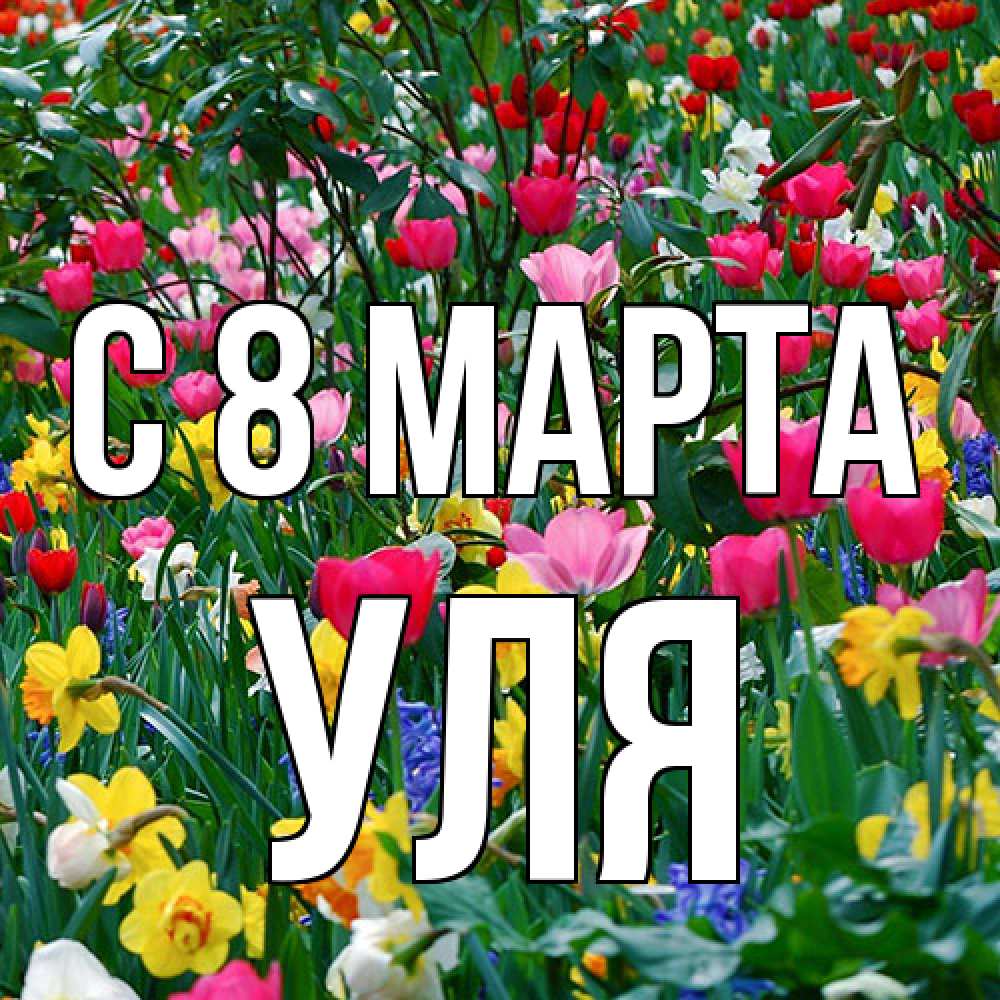 Открытка на каждый день с именем, Уля C 8 МАРТА с международным женским днем поздравления для женщины Прикольная открытка с пожеланием онлайн скачать бесплатно 