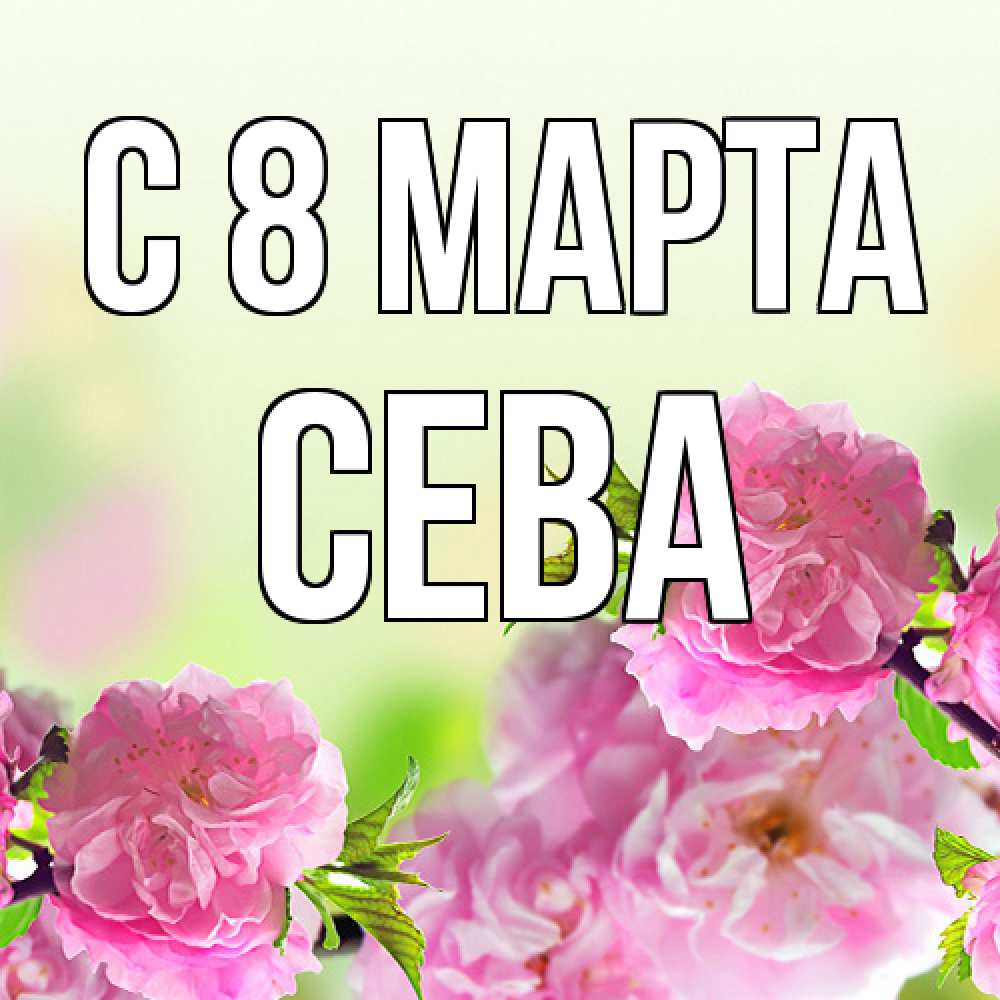 Открытка на каждый день с именем, Сева C 8 МАРТА цветы Прикольная открытка с пожеланием онлайн скачать бесплатно 