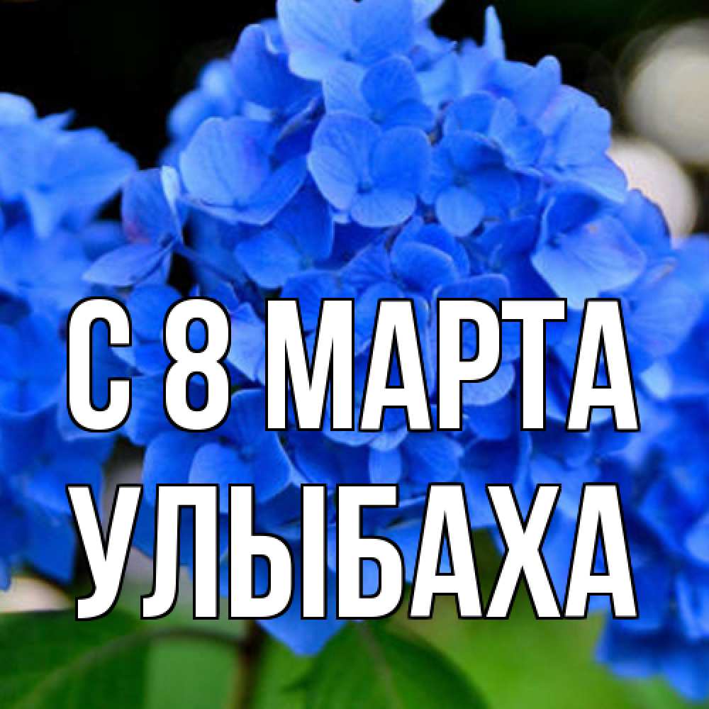 Открытка на каждый день с именем, Улыбаха C 8 МАРТА синие цветы Прикольная открытка с пожеланием онлайн скачать бесплатно 