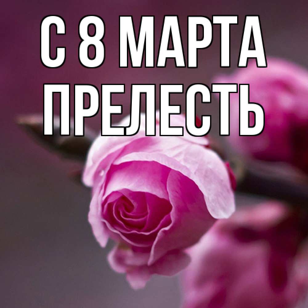 Открытка на каждый день с именем, прелесть C 8 МАРТА весна Прикольная открытка с пожеланием онлайн скачать бесплатно 