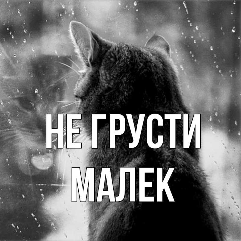 Картинка Не грусти, Малек