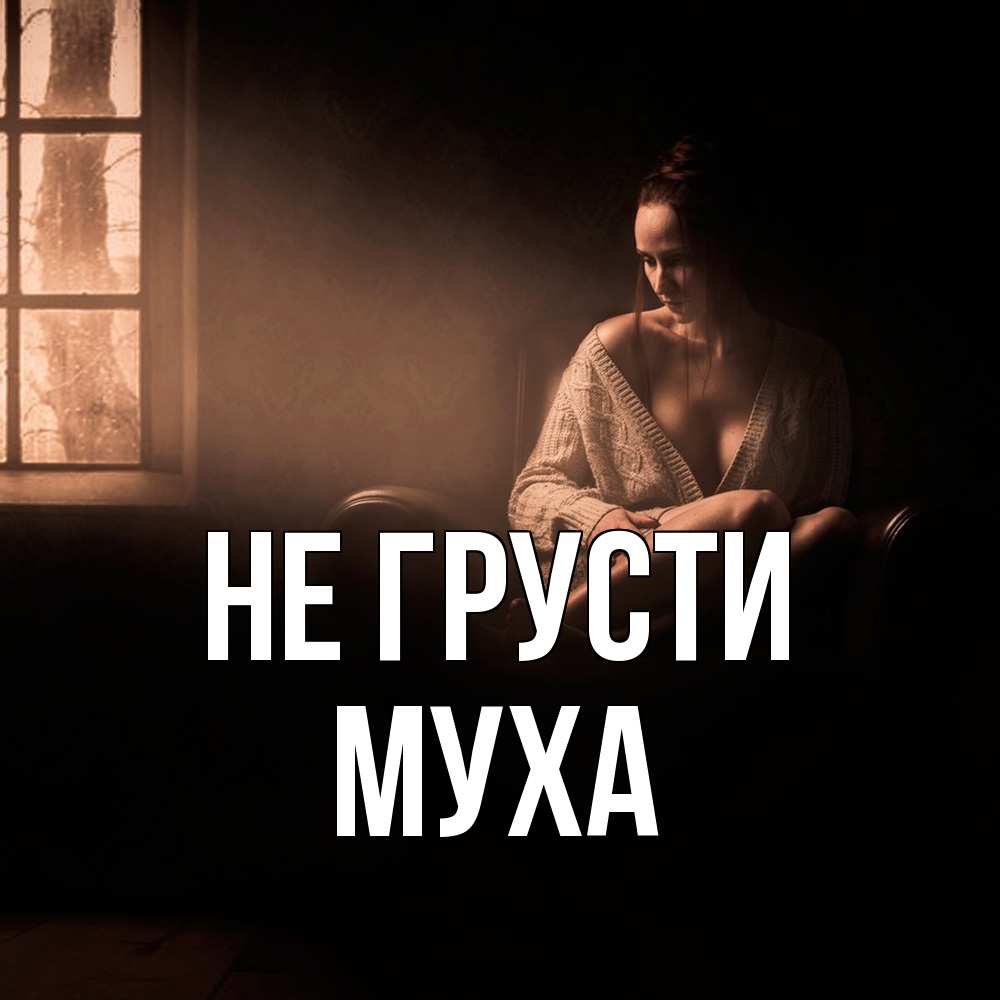 Открытка на каждый день с именем, Муха Не грусти сидя у окна Прикольная открытка с пожеланием онлайн скачать бесплатно 