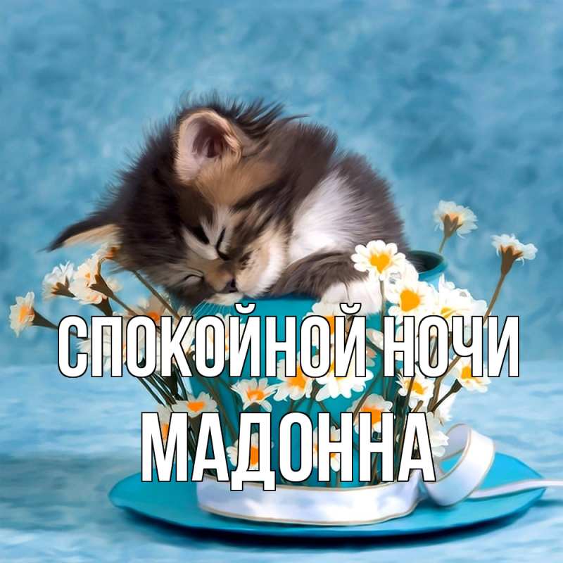 Картинка Спокойной ночи, Мадонна