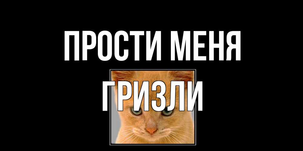 Открытка на каждый день с именем, Гризли Прости меня рыжий грустный кот просит прощения Прикольная открытка с пожеланием онлайн скачать бесплатно 