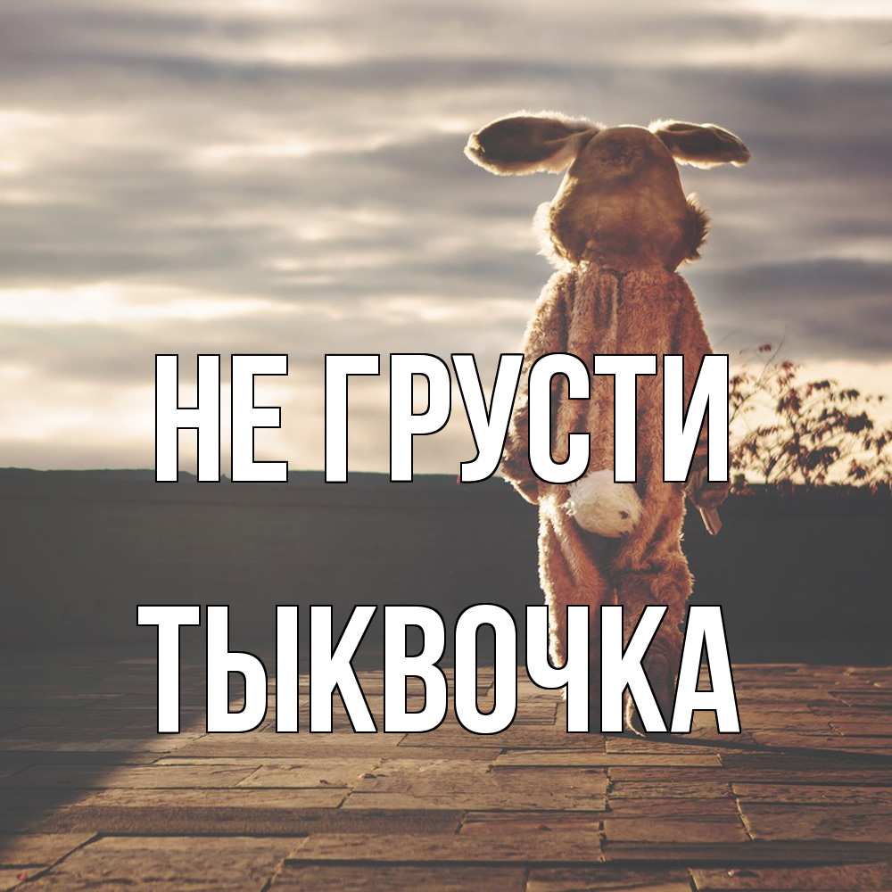 Открытка на каждый день с именем, тыквочка Не грусти со спины Прикольная открытка с пожеланием онлайн скачать бесплатно 