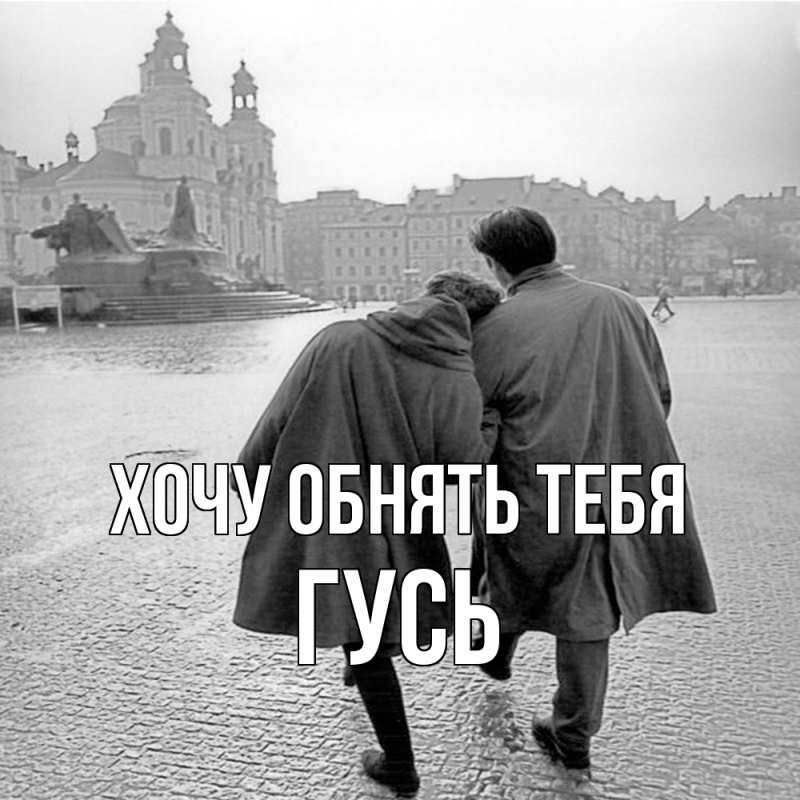 Картинка Хочу обнять тебя, Гусь