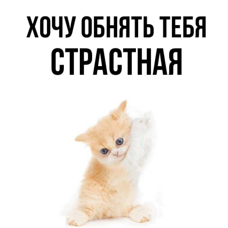 Картинка Хочу обнять тебя, Стpастная