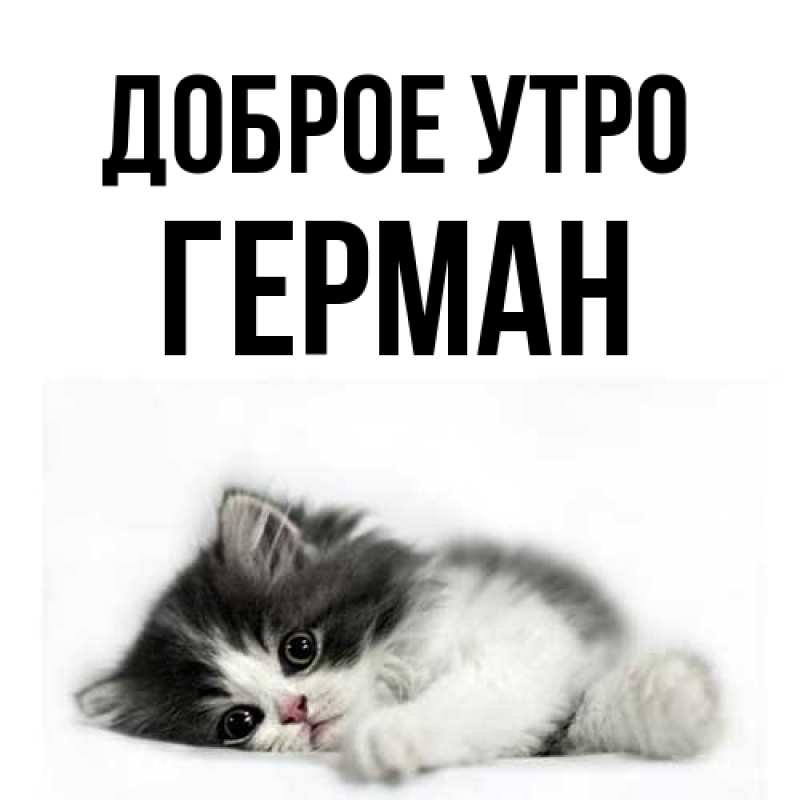 Картинка Доброе утро, Герман