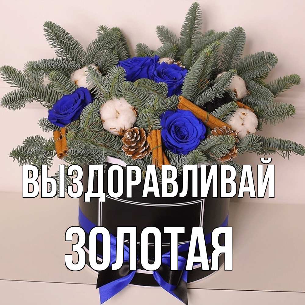 Открытка на каждый день с именем, золотая Выздоравливай короче кто то загрузил эти шишки Прикольная открытка с пожеланием онлайн скачать бесплатно 