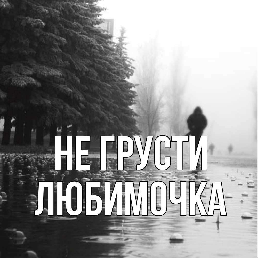 Открытка на каждый день с именем, Любимочка Не грусти улица под дождем Прикольная открытка с пожеланием онлайн скачать бесплатно 