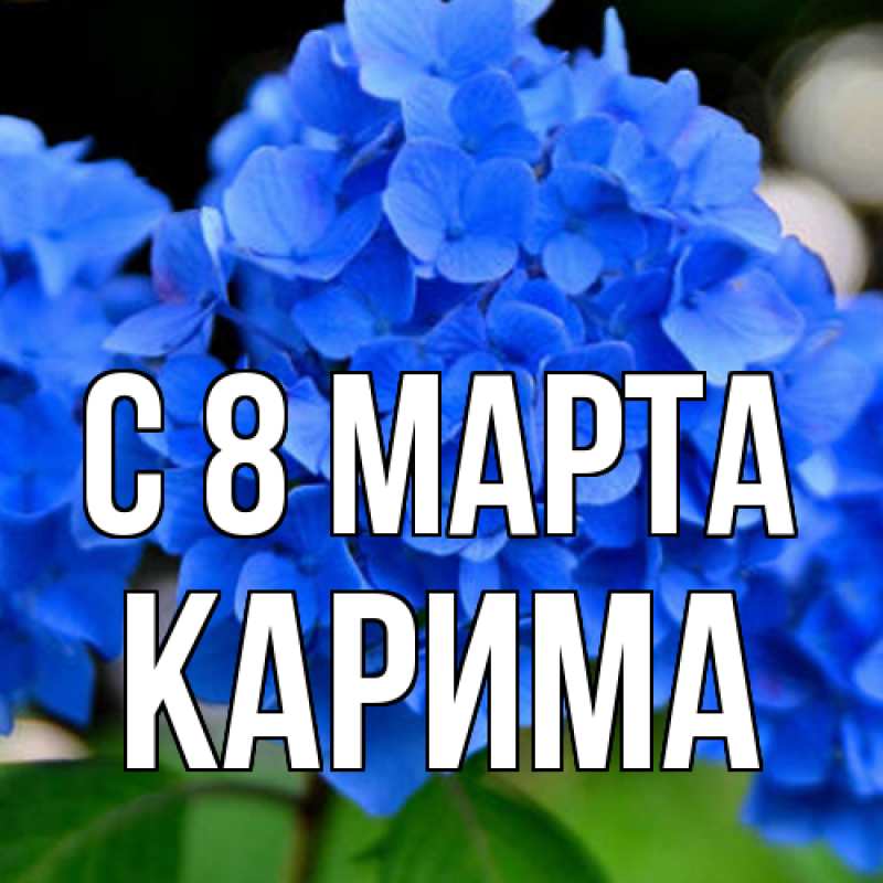 Картинка C 8 МАРТА, Карима