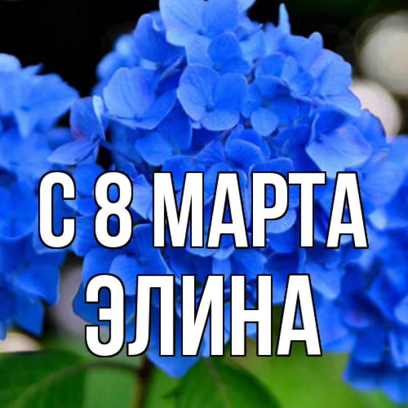 Картинка C 8 МАРТА, Элина