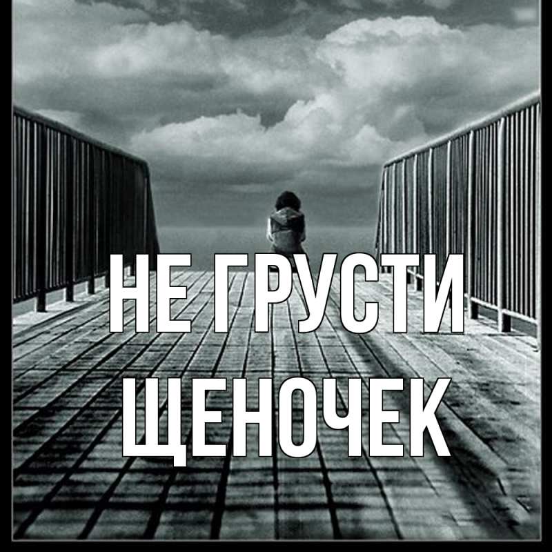 Картинка Не грусти, Щеночек