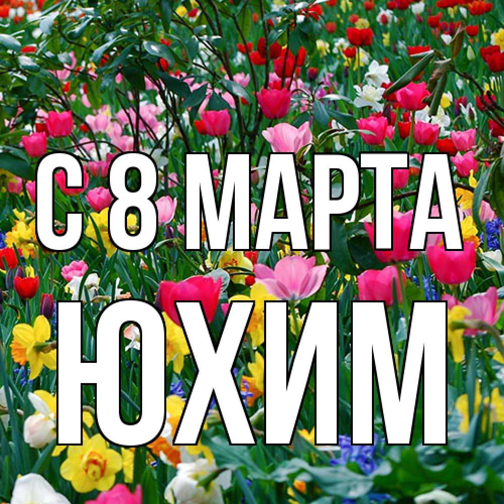 Открытка на каждый день с именем, Юхим C 8 МАРТА с международным женским днем поздравления для женщины Прикольная открытка с пожеланием онлайн скачать бесплатно 