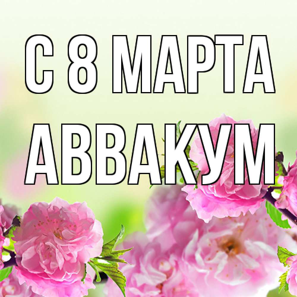 Открытка на каждый день с именем, Аввакум C 8 МАРТА цветы Прикольная открытка с пожеланием онлайн скачать бесплатно 