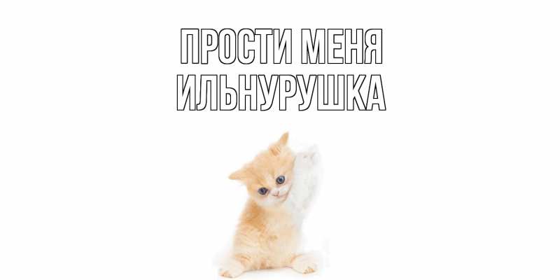 Картинка Прости меня, Ильнурушка