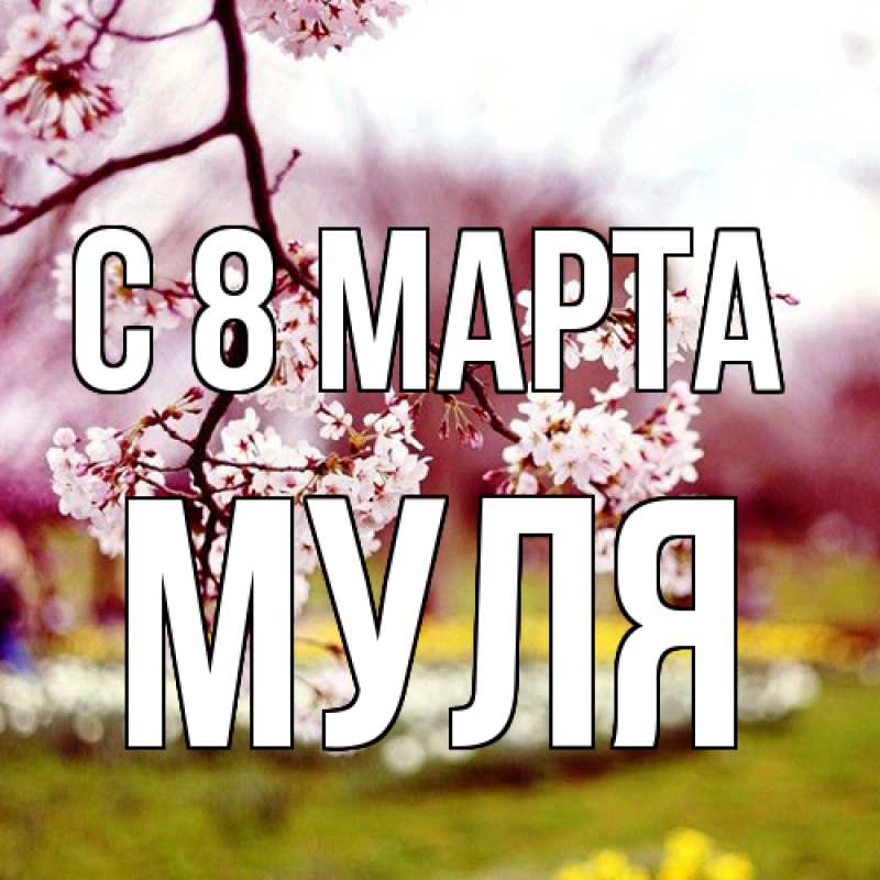 Картинка C 8 МАРТА, Муля