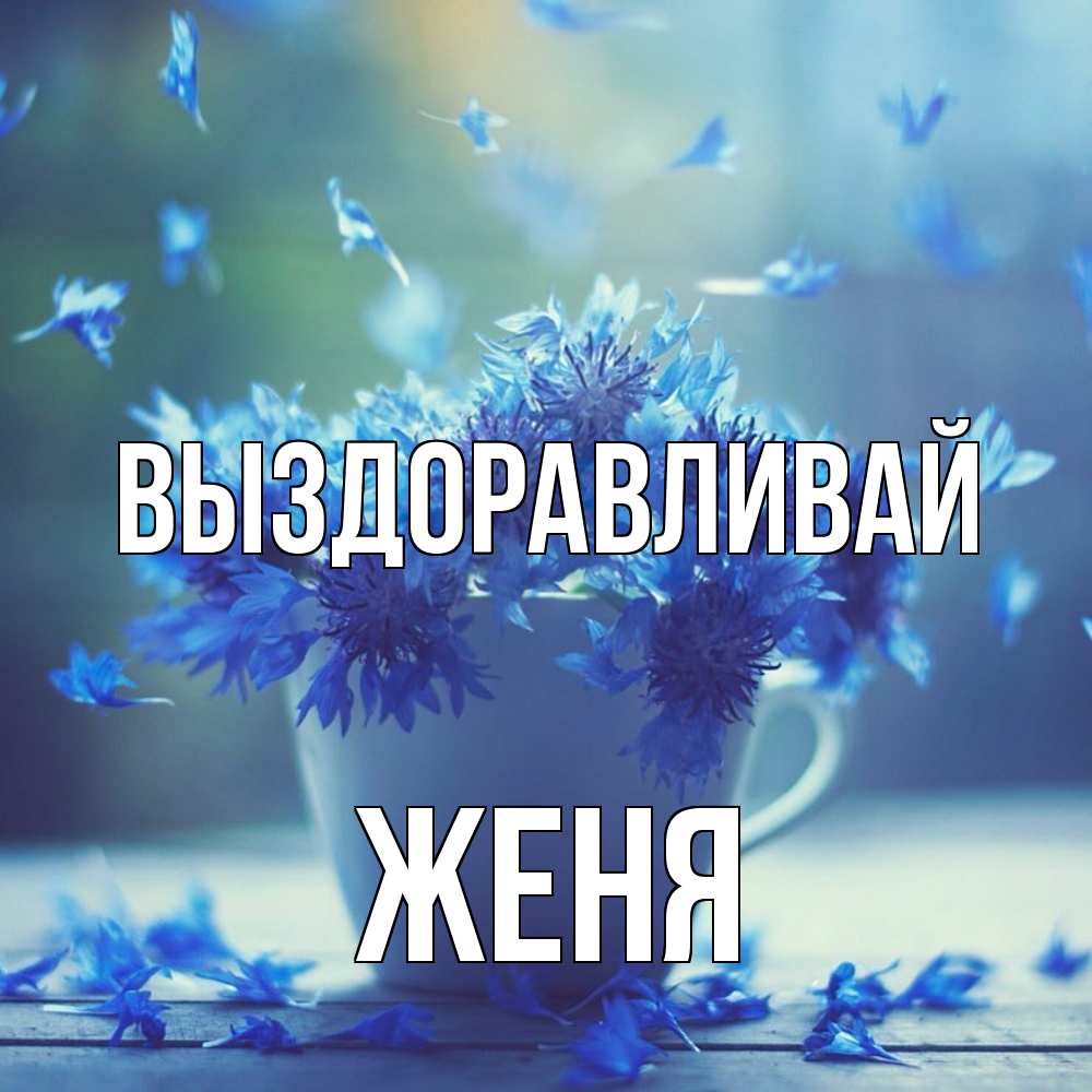 Открытка на каждый день с именем, Женя Выздоравливай кружка с зельем и цветами Прикольная открытка с пожеланием онлайн скачать бесплатно 