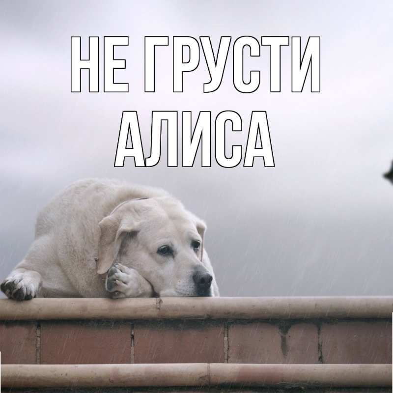 Открытка с именем, Алиса, Не грусти