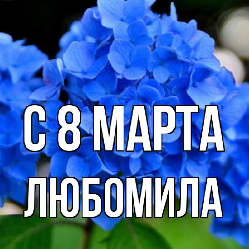 Картинка C 8 МАРТА, Любомила