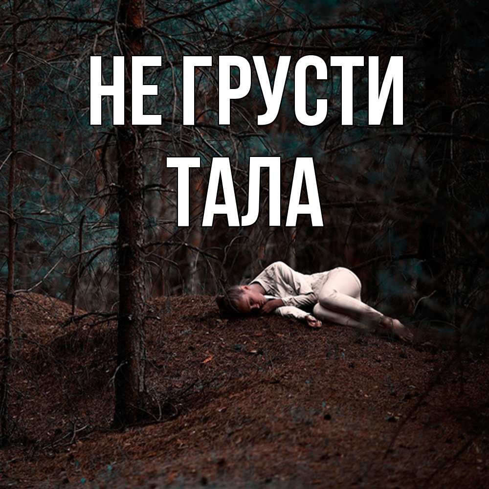 Открытка на каждый день с именем, Тала Не грусти лес Прикольная открытка с пожеланием онлайн скачать бесплатно 