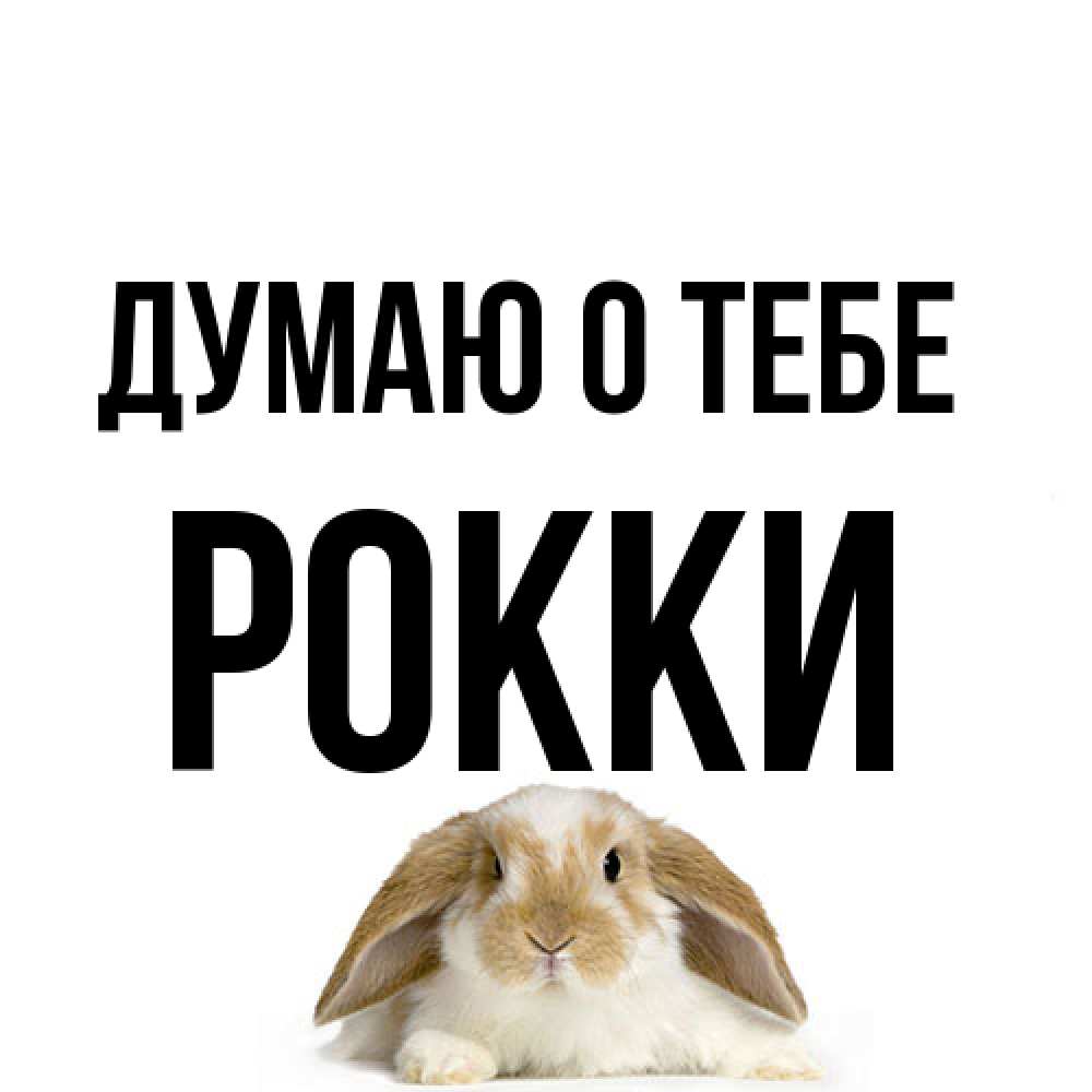 Открытка на каждый день с именем, Рокки Думаю о тебе подписать своими руками онлайн Прикольная открытка с пожеланием онлайн скачать бесплатно 