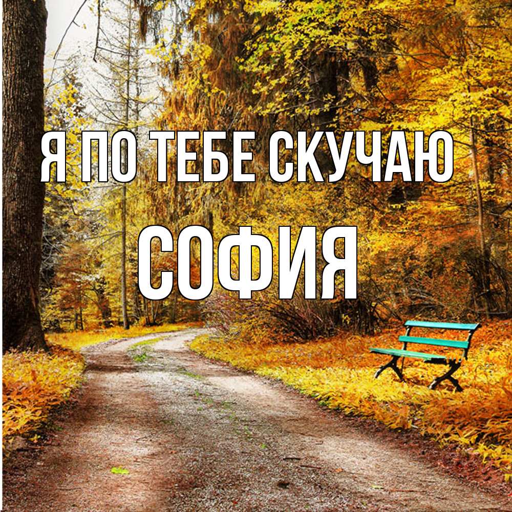 Открытка на каждый день с именем, София Я по тебе скучаю зеленая лавочка и осенний лес Прикольная открытка с пожеланием онлайн скачать бесплатно 